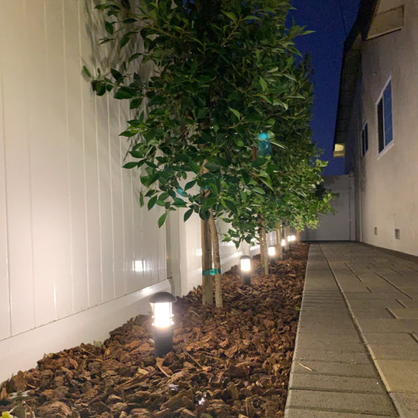 CD55 3W 12V LED Garden Bollard Path Light