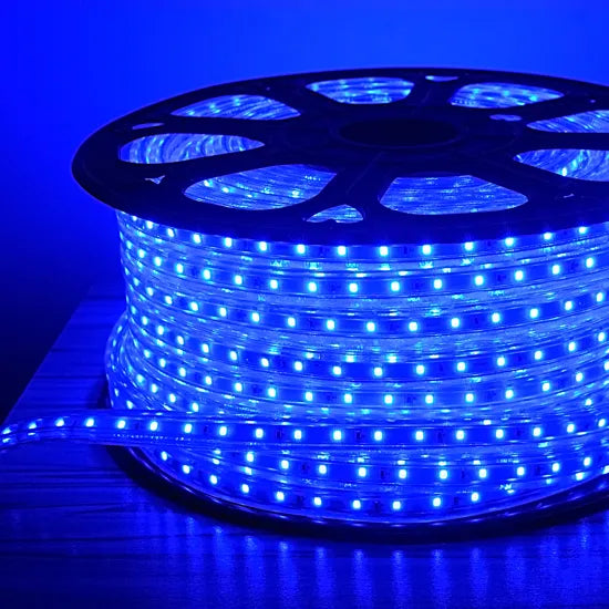 120 Volt LED Rope Light Blue