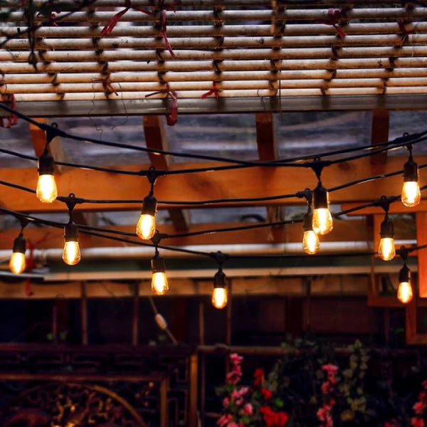 SL101 LED Low Voltage Bistro String Lights 48 FT Outdoor Weatherproof 12V Edison Bulbs