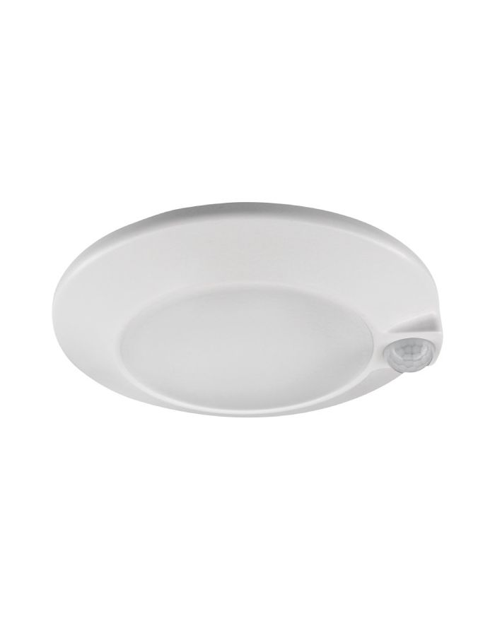 6 Inch Surface Mount Fixture with Motion